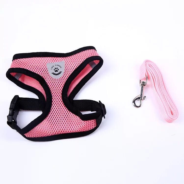 Pet chest strap