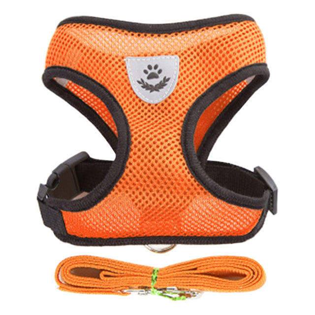 Pet chest strap